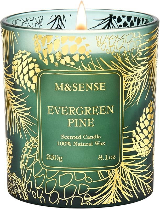 M&SENSE