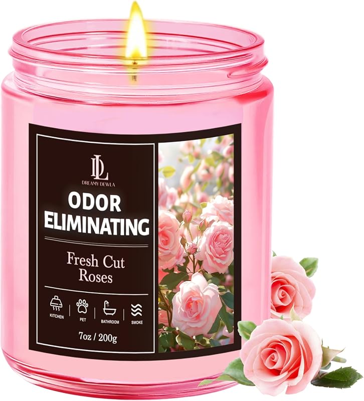 Odor Eliminating Candle